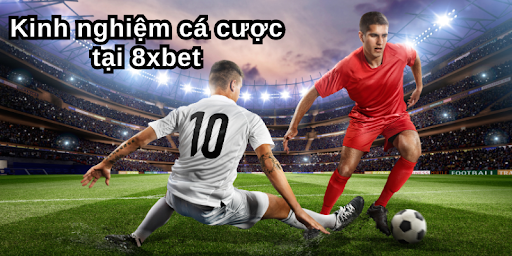 Kinh nghiệm cá cược tại 8xbet